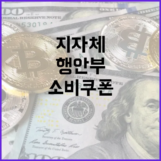 지자체와 행안부, 소비쿠폰 준비 철저 점검
