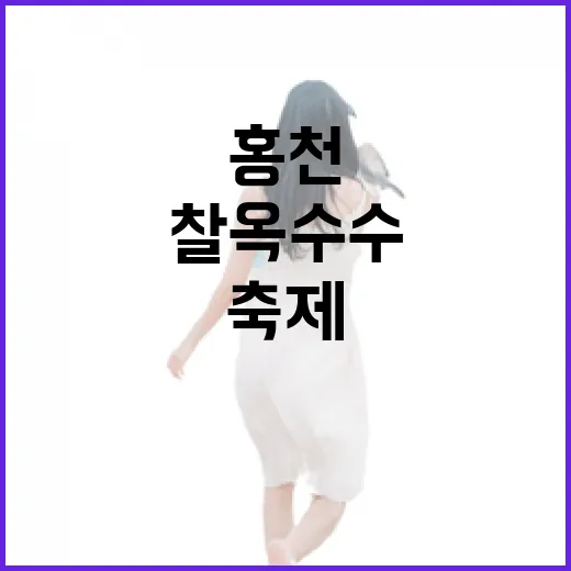 홍천서 만나는 찰옥수수와 별빛 맥주축제