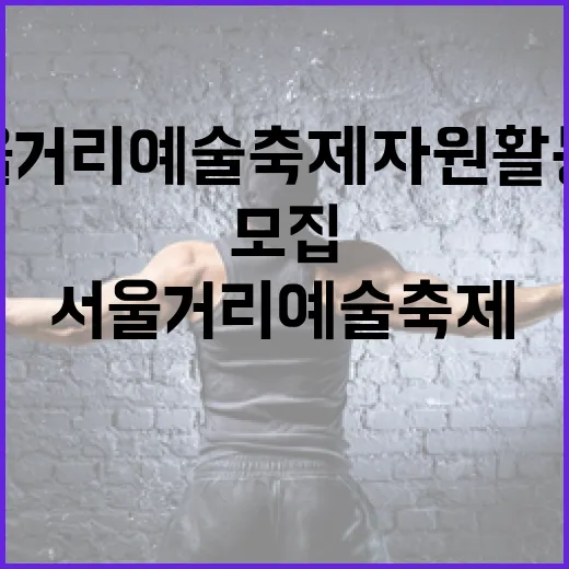 서울거리예술축제 자원활동가 모집