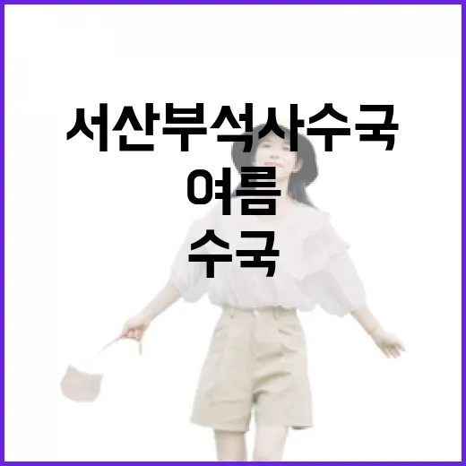 서산 부석사 수국의 여름 풍경