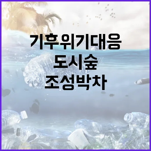계룡 팥거리 마을 새벽 산책
