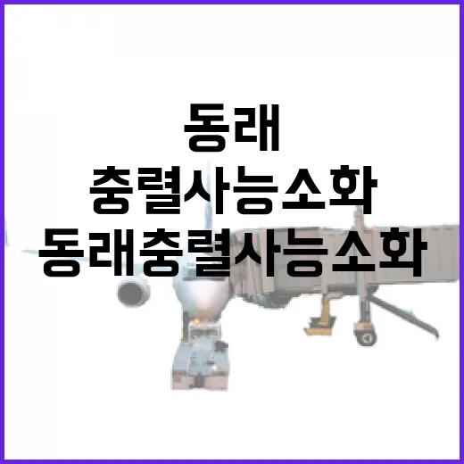 동래 충렬사 능소화 절정 풍경