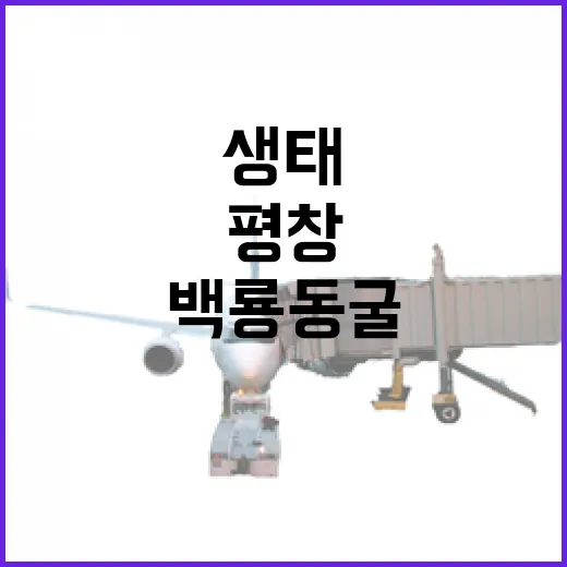 평창 백룡동굴과 어름치마을의 여름 생태 탐험