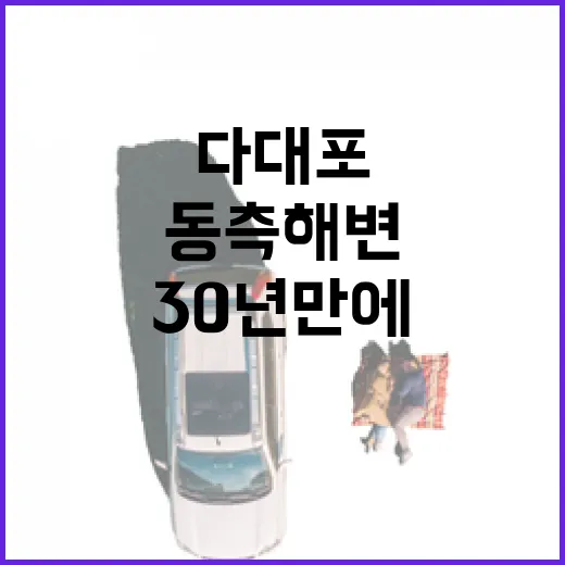 30년 만에 다시 열린 다대포해변 동측 해변
