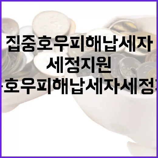 집중호우 피해 납세자 세정지원 대폭 확대
