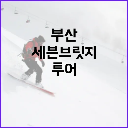 부산 해상교량 달리는 세븐브릿지 투어 티켓 오픈