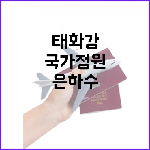 태화강 은하수 다리, 국가정원 관문으로 빛나다