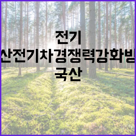 국산 전기차 경쟁력 강화 방안 집중