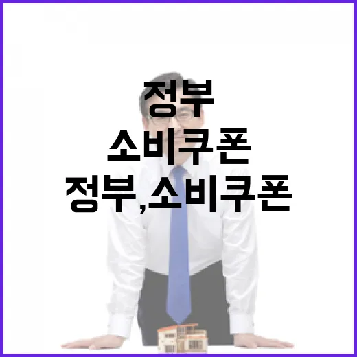 정부, 소비쿠폰 예산 삭감설 전면 부인