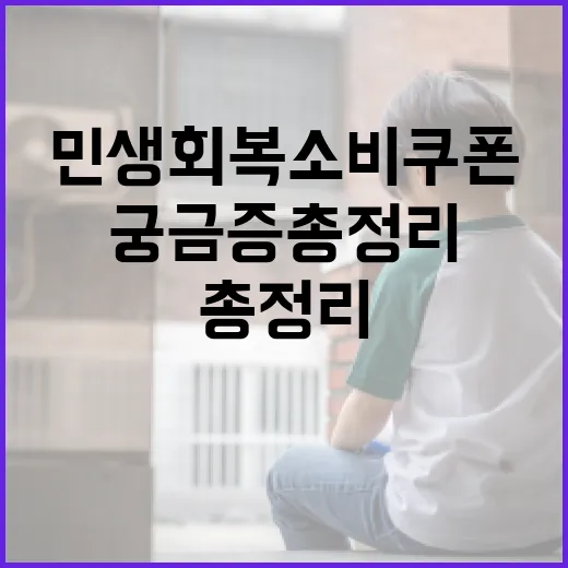 민생회복 소비쿠폰, 궁금증 총정리