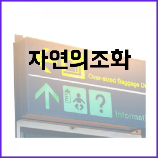 덕숭산 천년고찰과 자연의 조화