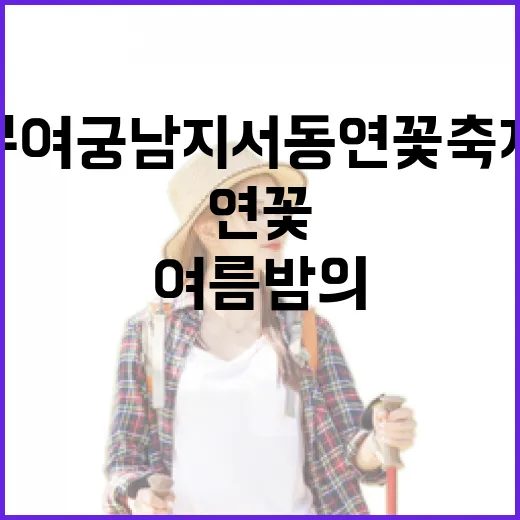 부여 궁남지 서동연꽃축제, 여름밤의 환상