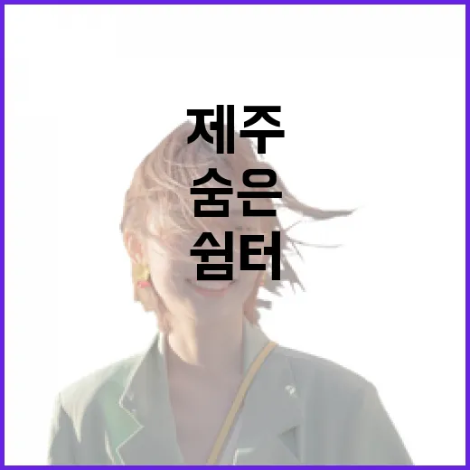 제주 성산 모산이연못, 숨은 평화 쉼터