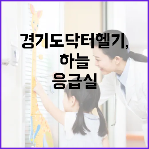 경기도 닥터헬기, 24시간 생명 구하는 하늘 응급실