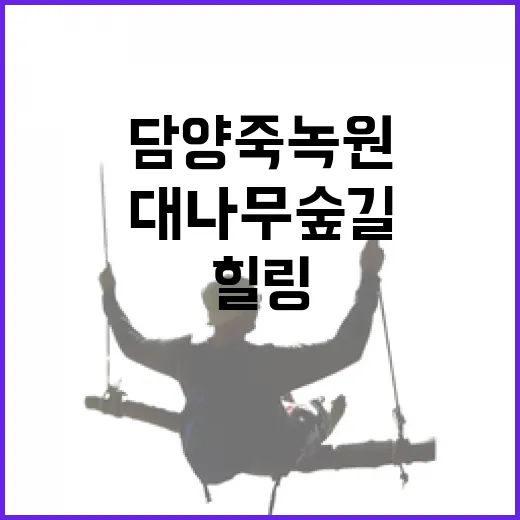 대나무 숲길 힐링 명소, 담양 죽녹원