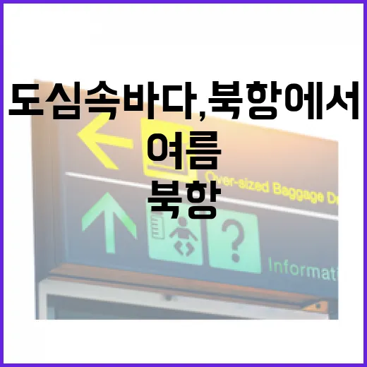 도심 속 바다, 북항에서 즐기는 여름 축제