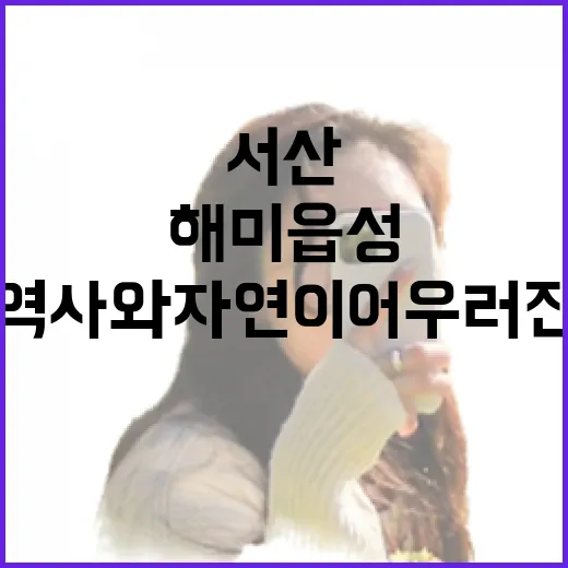 서산 해미읍성, 역사와 자연이 어우러진 명소