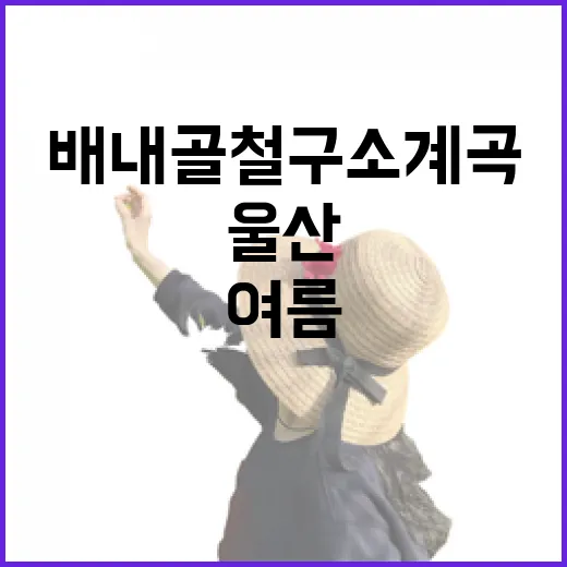 울산 배내골 철구소 계곡 여름 물놀이 명소