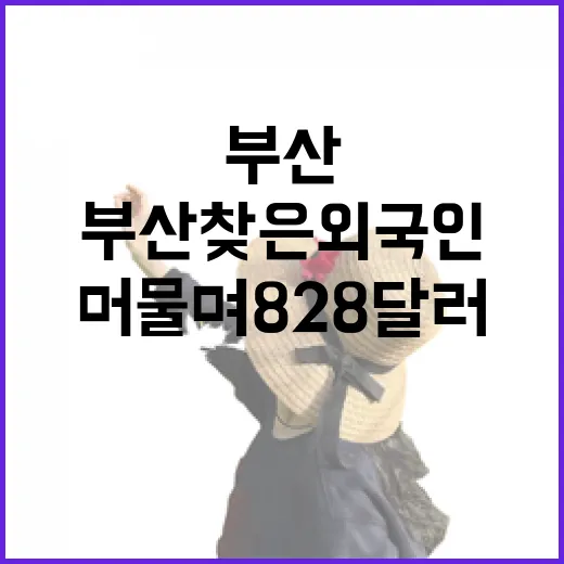 부산 찾은 외국인, 6일 머물며 828달러 지출