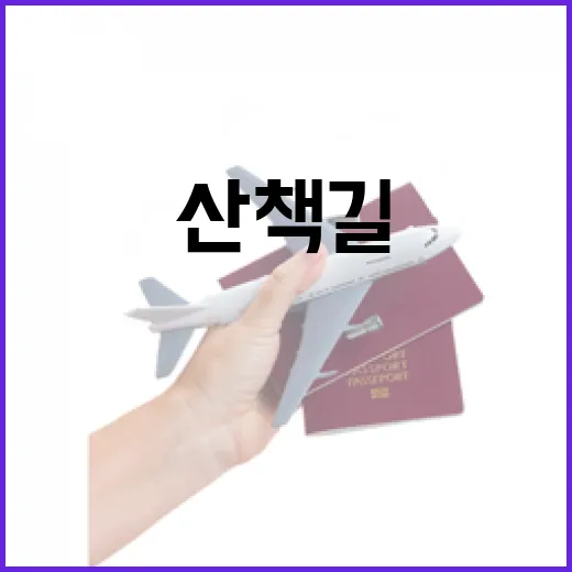대전 갑천변, 밤빛에 물든 낭만 산책길