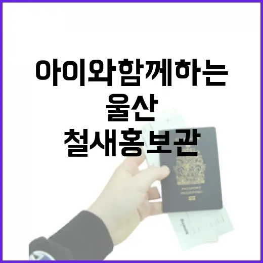 울산 철새홍보관, 여름철 아이와 함께하는 실내 명소