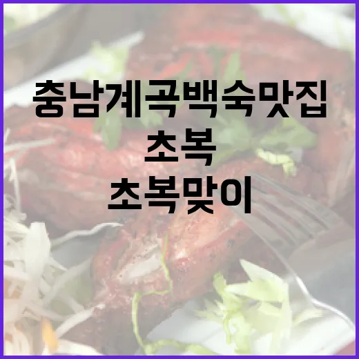 충남 계곡 백숙 맛집 초복 맞이 추천