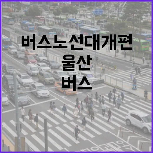 울산 1452번 버스 노선 대개편 현장