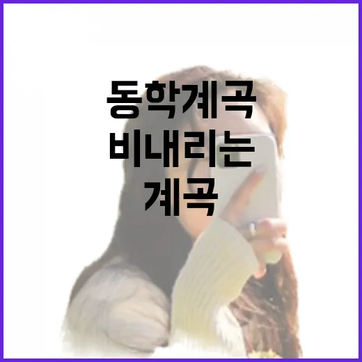비 내리는 동학계곡의 고요한 매력