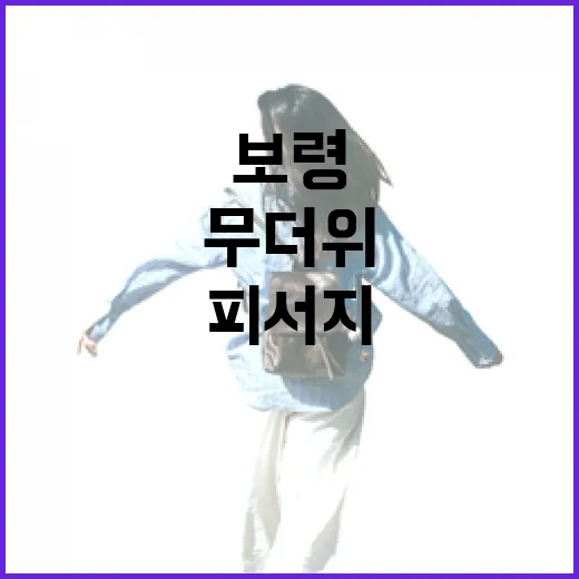 보령 냉풍욕장, 무더위 속 시원한 피서지