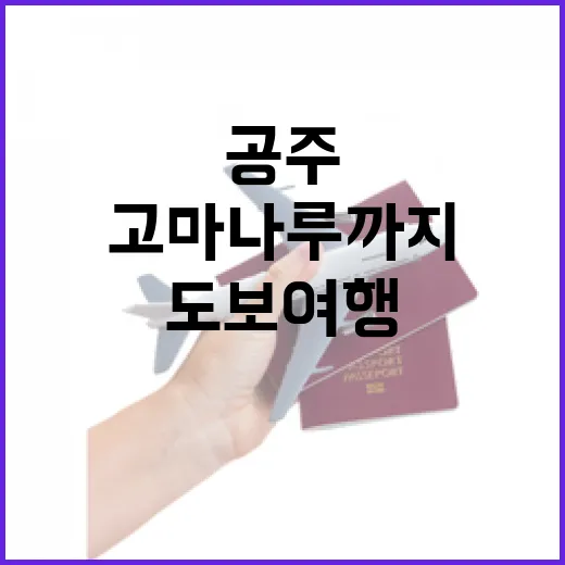 공주 한옥마을부터 고마나루까지 도보 여행