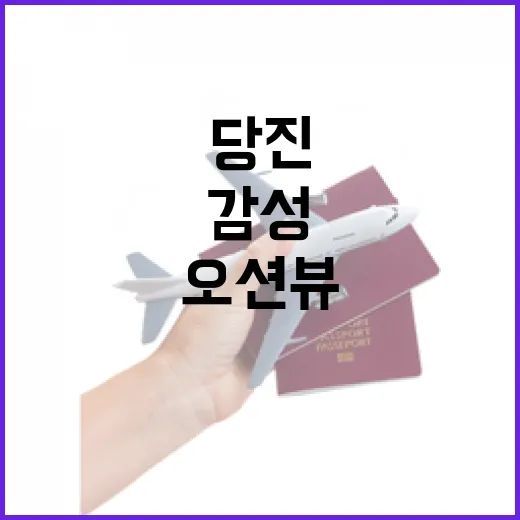 당진 로드1950 카페, 감성 가득 오션뷰 명소