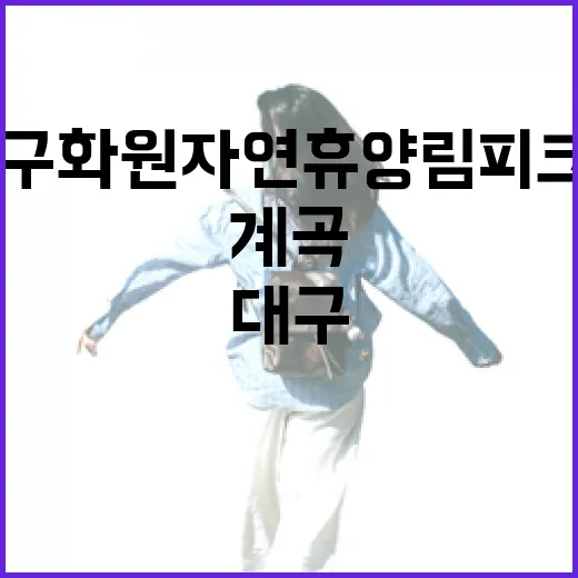 대구 화원자연휴양림 피크닉과 계곡 안내