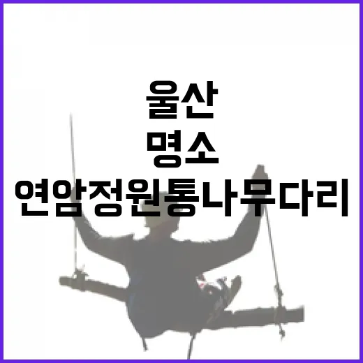 울산 연암정원 통나무 다리 명소 부상