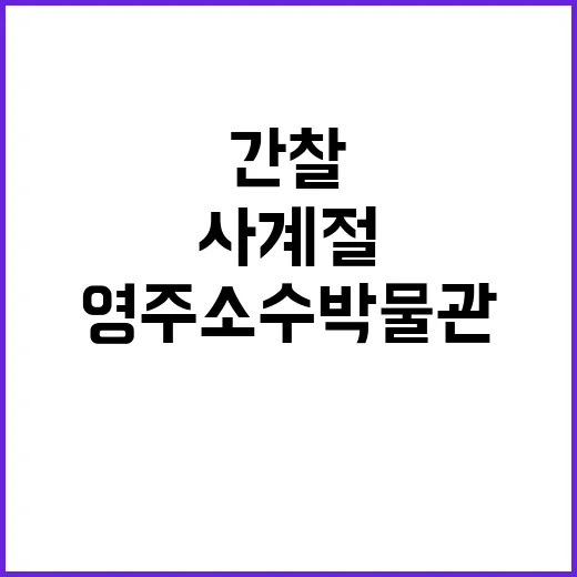 영주 소수박물관에서 만나는 조선 간찰의 사계절
