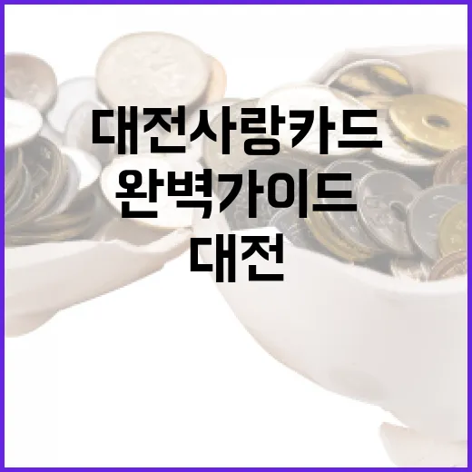 대전사랑카드 완벽 가이드