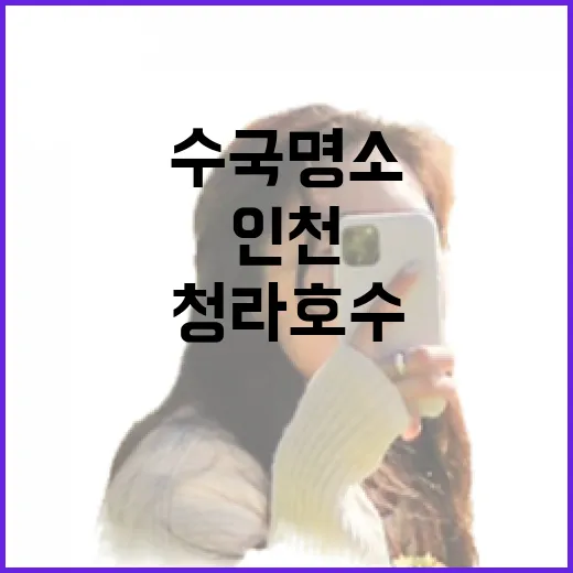 인천 수국 명소 청라호수·월미공원