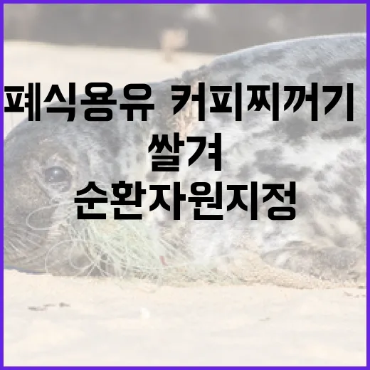 폐식용유·커피찌꺼기·쌀겨 순환자원 지정