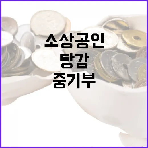 중기부, 소상공인 코로나 정책자금 탕감은 미확정