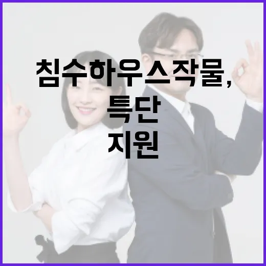 침수 하우스 작물, 정부 특단 지원 촉구