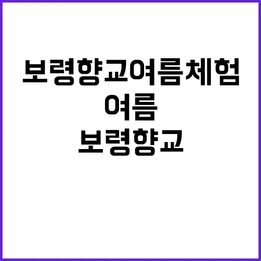 보령향교 여름 체험…