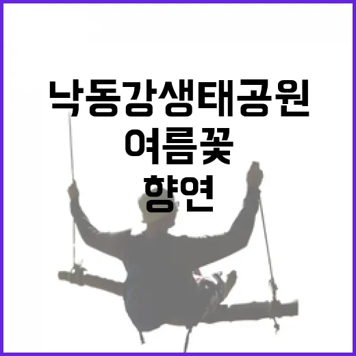 낙동강생태공원 여름꽃 만개, 도심 속 자연의 향연