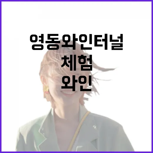 영동 와인터널, 터널 속 와인 문화 체험