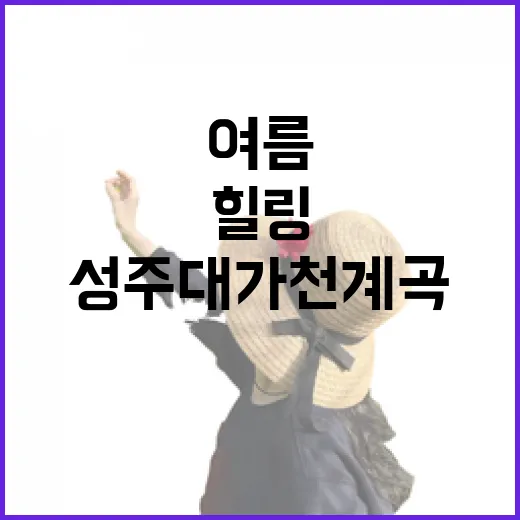 성주 대가천계곡, 여름 힐링 명소