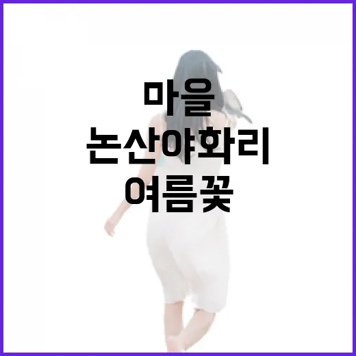 논산 야화리 벽화마을 여름꽃 향연