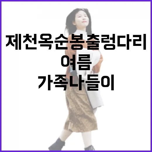 제천 옥순봉 출렁다리, 여름 가족 나들이 명소