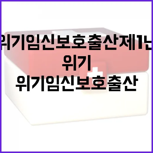 경남도 위기임신 보호출산제 1년 성과와 강화 계획