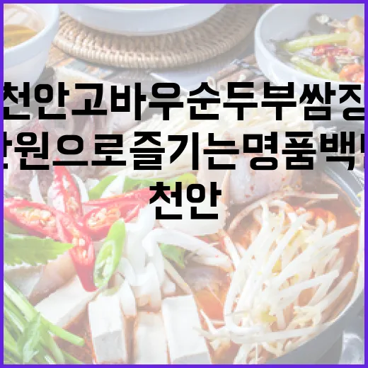 천안 고바우순두부쌈장, 만원으로 즐기는 명품 백반