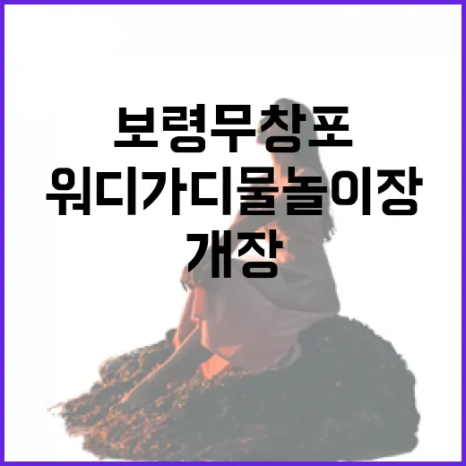 보령 무창포 워디가디 물놀이장 개장