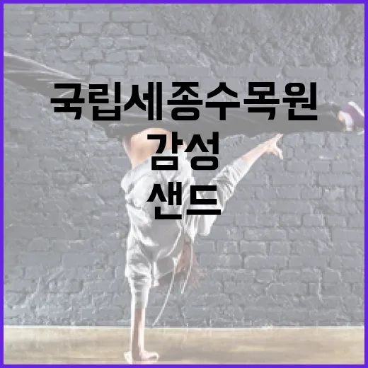 국립세종수목원 감성 샌드아트 공연