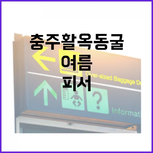 충주 활옥동굴, 여름 피서 명소로 재탄생